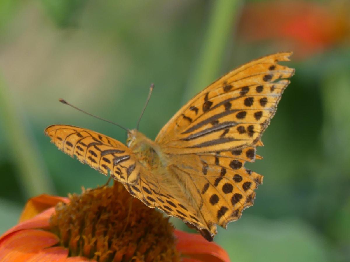 Source Nature Le Mas-d'Azil Экстерьер фото