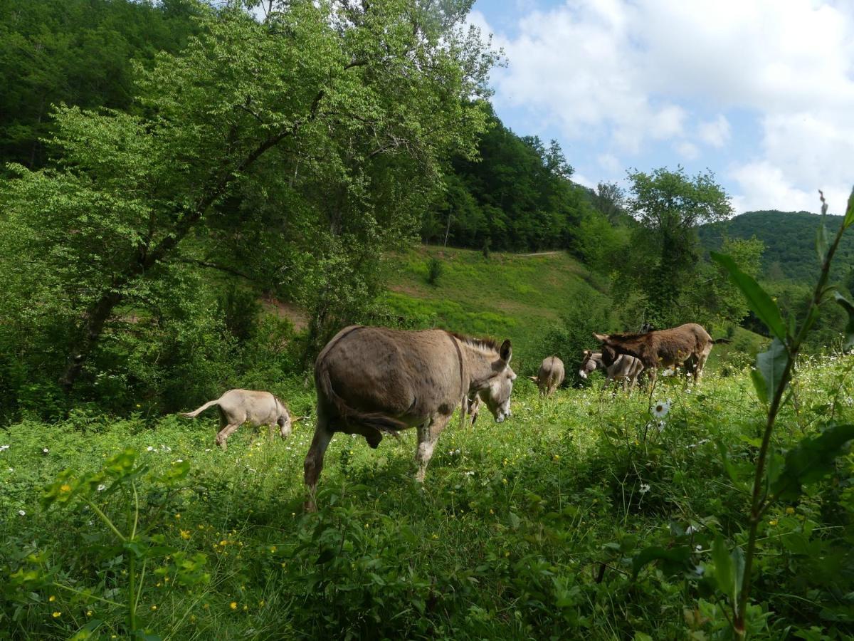 Source Nature Le Mas-d'Azil Экстерьер фото
